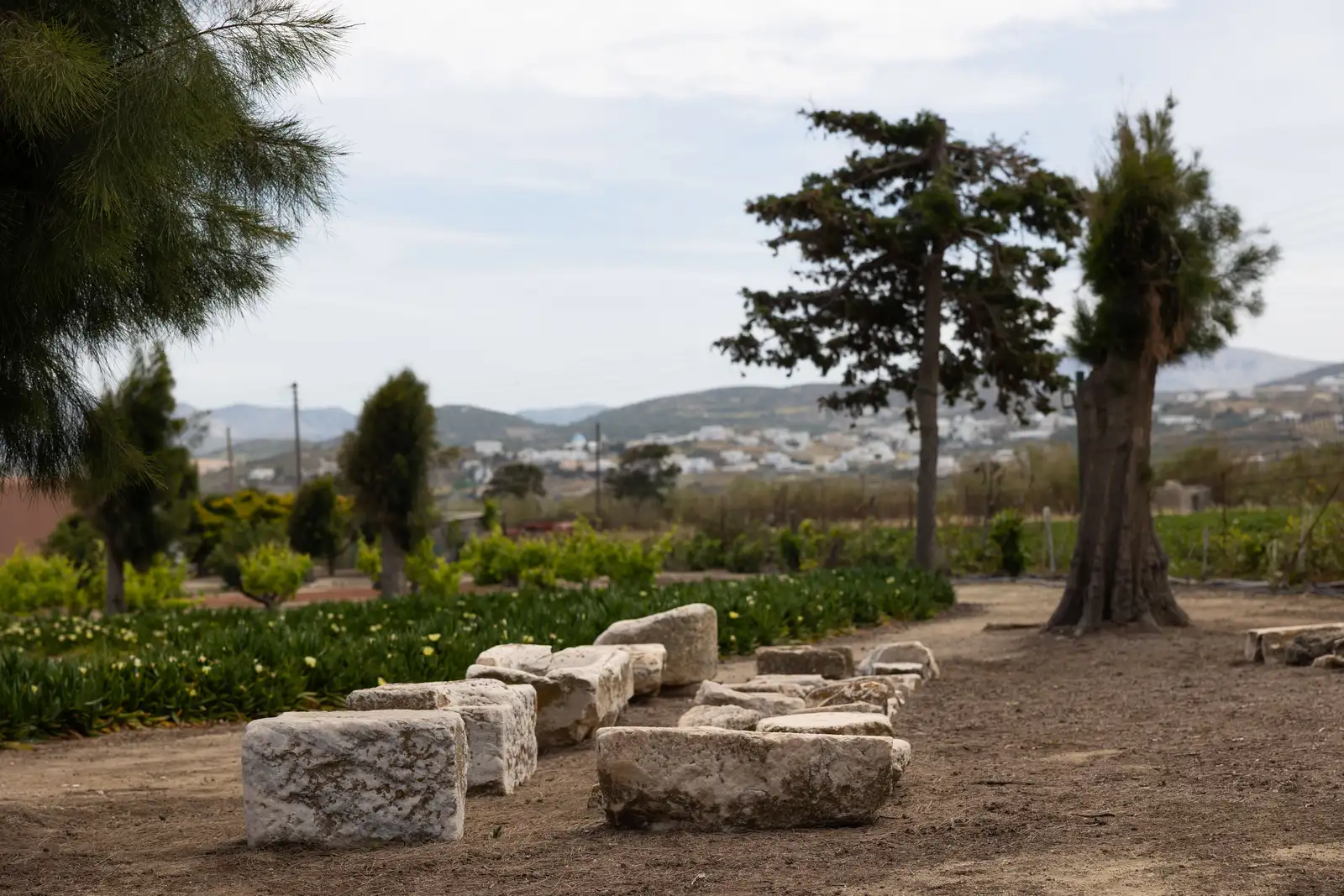 Ancient Temple of Dionysus, Yria